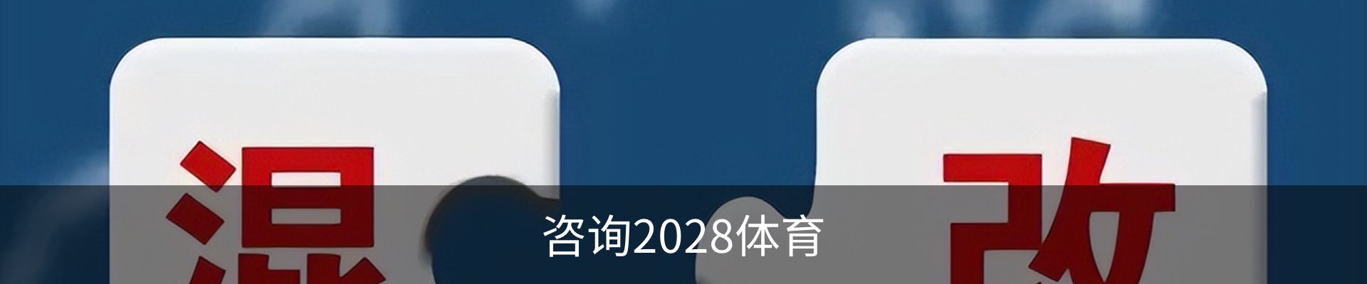 咨询2028体育
