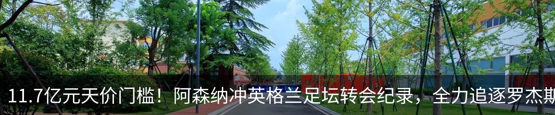 最新动态